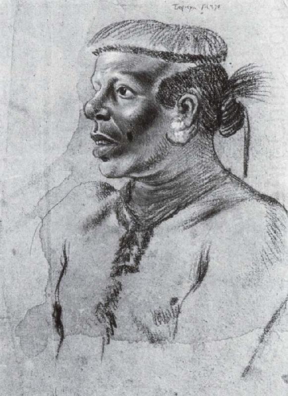 Albert van der Eeckhout Tapuya Indianer china oil painting image